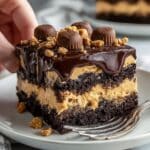 Reese’s Peanut Butter Earthquake Cake Recipe