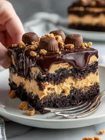 Reese’s Peanut Butter Earthquake Cake Recipe
