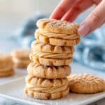 Homemade Nutter Butters Recipe