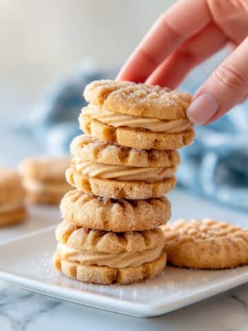 Homemade Nutter Butters Recipe