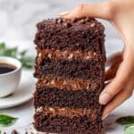 Sour Cream Chocolate Loaf Cake Recipe