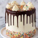 Sprinkle Birthday Cake with Chocolate Ganache and Rainbow Jimmies Recipe