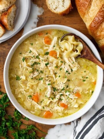 Crockpot Creamy Chicken Noodle Soup Recipe