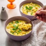 Italian Penicillin Soup Recipe
