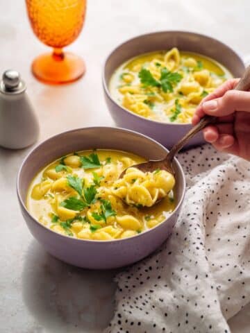 Italian Penicillin Soup Recipe