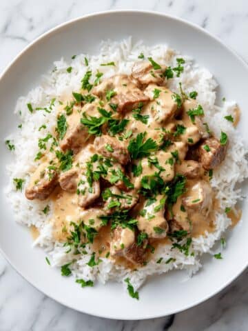 Steak Queso Rice Recipe