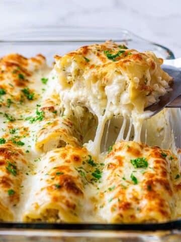 Chicken Alfredo Lasagna Roll-Ups Recipe