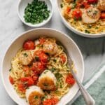 Scallop Pasta Recipe