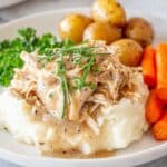 Crockpot Chicken and Gravy Recipe
