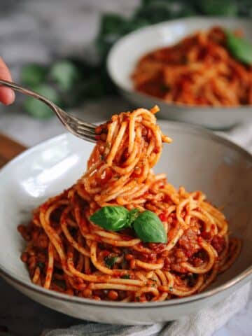 One-Pot Tomato Lentil Pasta Recipe