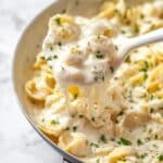 Garlic Parmesan Tortellini Recipe