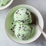 Easy Mint Chocolate Chip Ice Cream Recipe