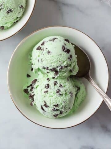 Easy Mint Chocolate Chip Ice Cream Recipe