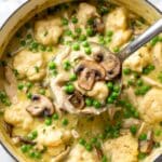 Chicken and Dumplings with Leeks, Mushrooms, and Peas Recipe