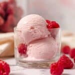 Raspberry Frozen Yogurt Recipe