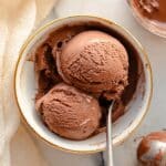 Ninja Creami Protein Ice Cream Recipe