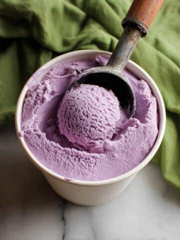 Homemade Blueberry Ice Cream Recipe